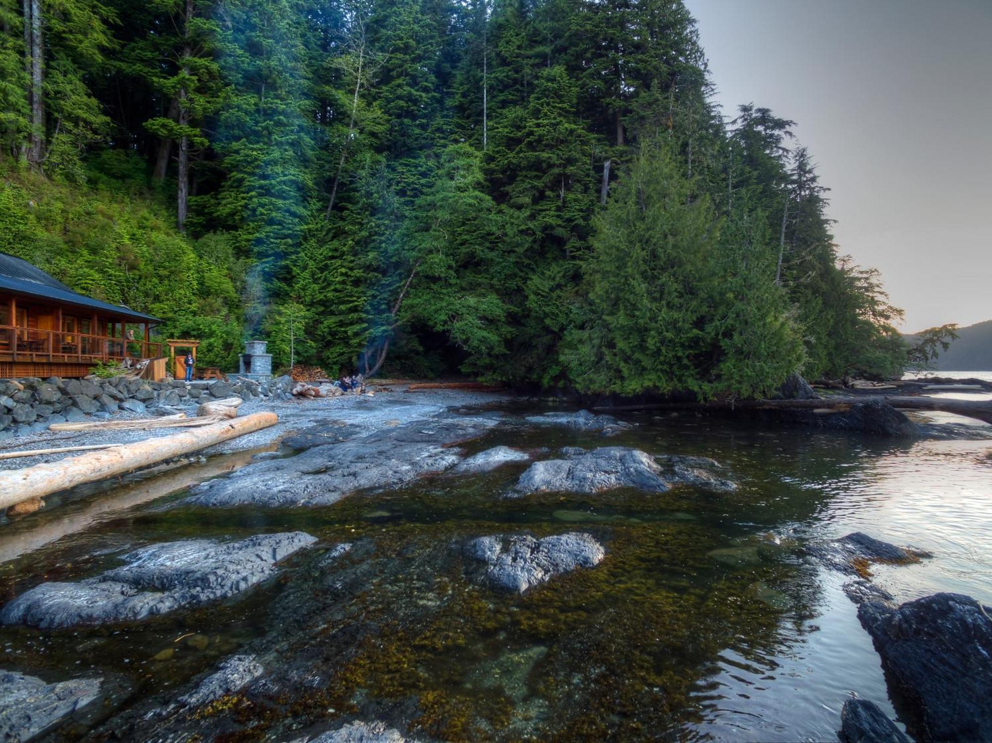 Wild Renfrew Seaside Cottages Port Renfrew Pokój zdjęcie