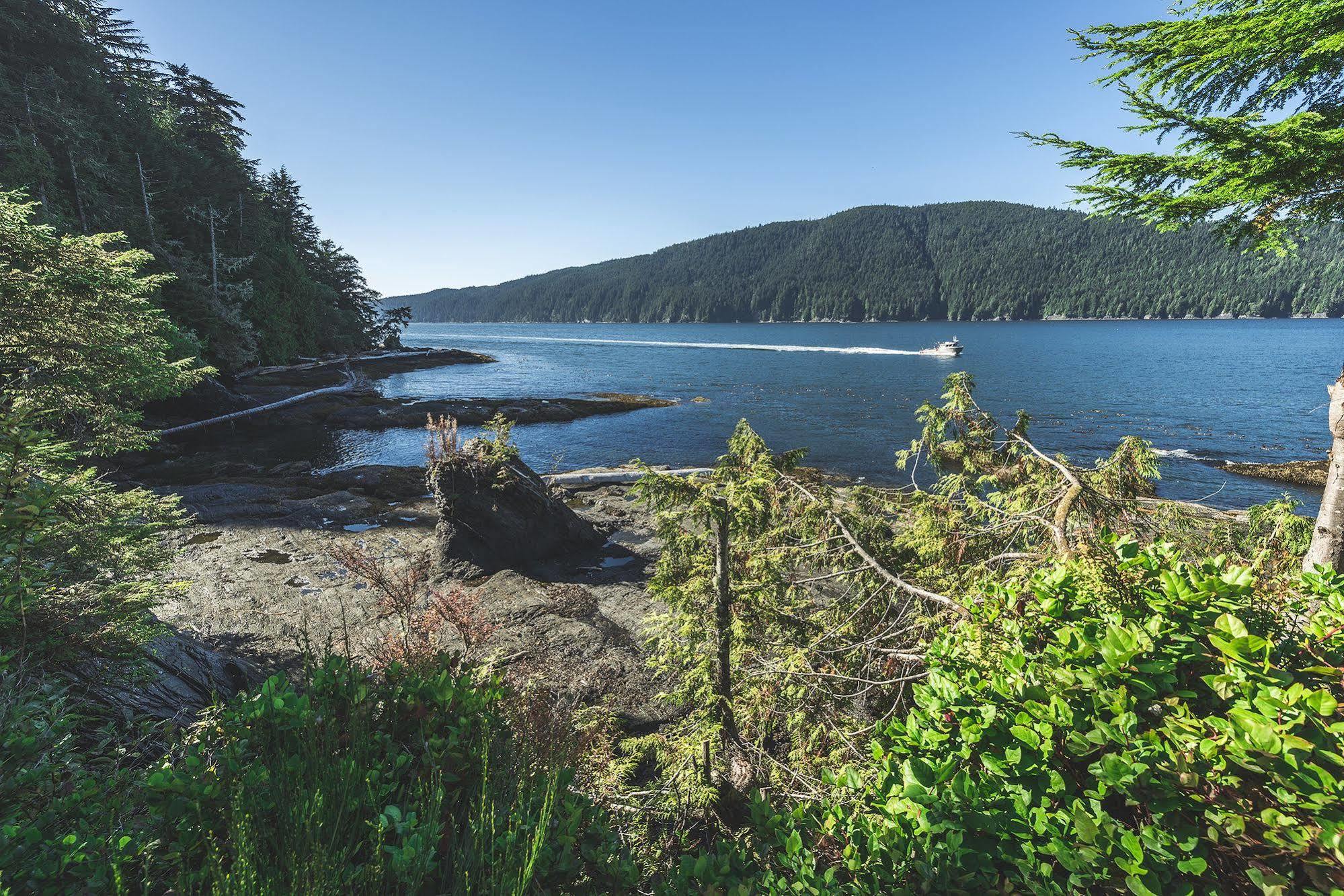 Wild Renfrew Seaside Cottages Port Renfrew Zewnętrze zdjęcie
