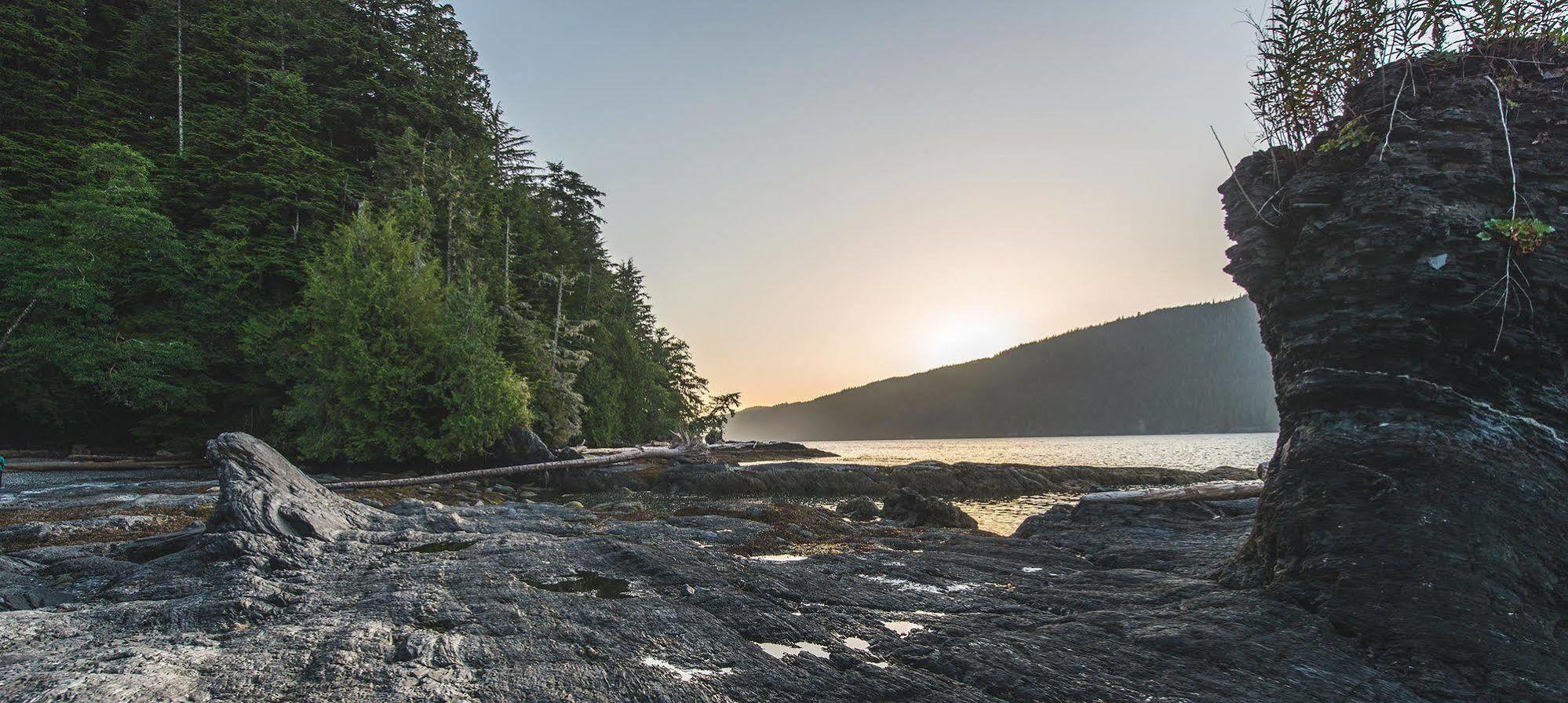 Wild Renfrew Seaside Cottages Port Renfrew Zewnętrze zdjęcie